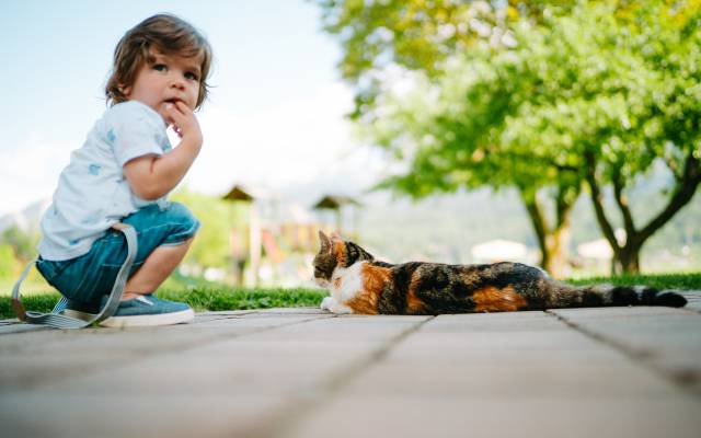 Kind mit Katze auf dem Hof