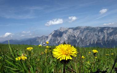 Naturpark Dobratsch