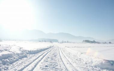 Winterliche Aufnahmen - Langlaufloipen