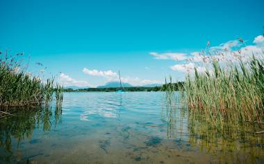 Swimming & sailing - Karglhof