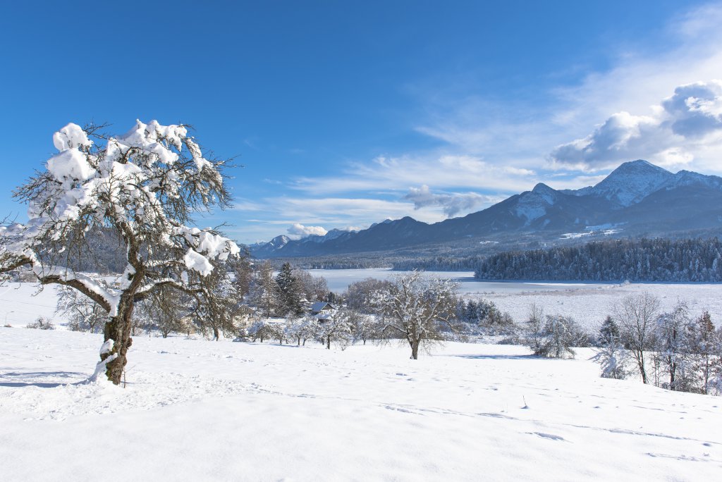 Frühlingserwachen am Faaker See für Ihre Familie 13.04.2025 08.06.2025 Karglhof